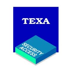 CONTRATTO TEXA SECURTY ACCESS - DIAGNOSI AUTENTICATA FCA